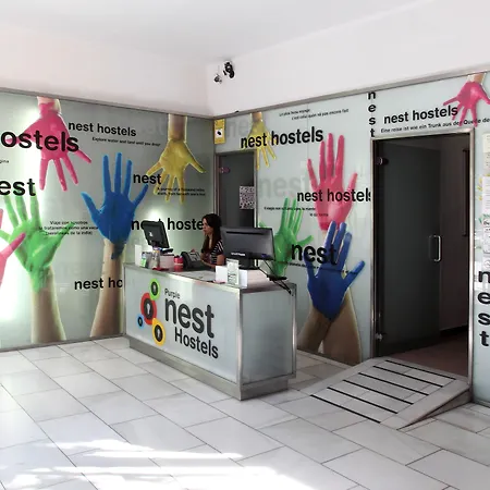 パープル ネスト