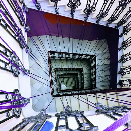 パープル ネスト ホステル *