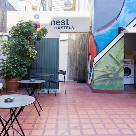 パープル ネスト *