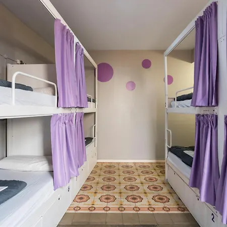 Purple Nest אכסניה
