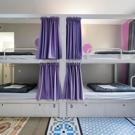 パープル ネスト *