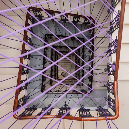 אכסניה Purple Nest