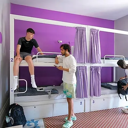Purple Nest אכסניה