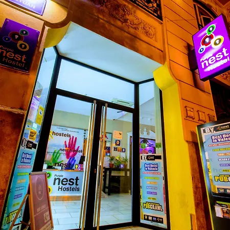 Purple Nest Ostello Valenza